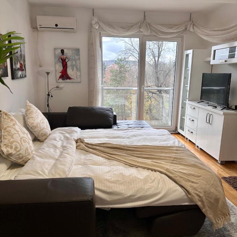 Prelep Pogled, Elegantan Komfor Blizu Centra, Besplatan Parking, Apartman Floresta - Apartman sa 1 Spavaćom Sobom - 17