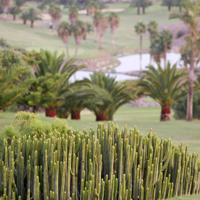 Vista Golf 30 by VillaGranCanaria - Villa de 2 dormitorios - 38