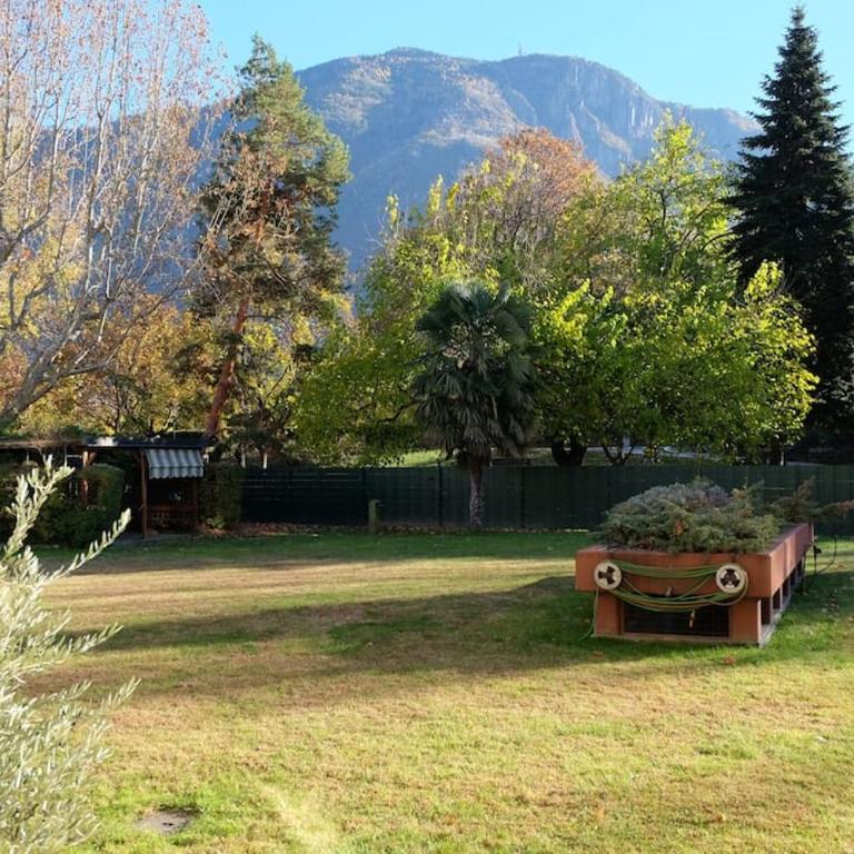 Green View: il verde in città - Appartamento con 1 Camera da Letto - 22