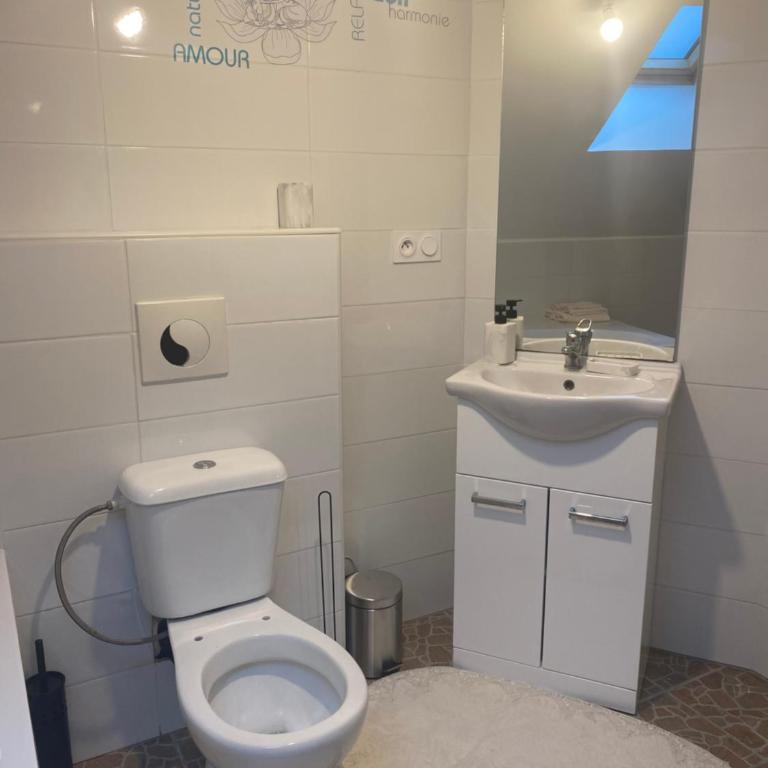 Maison 5 chambres 2 salons - Maison 5 Chambres - 24