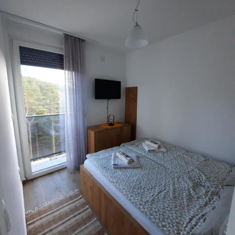 Goga Apartmani - Apartman sa 1 Spavaćom Sobom - 3