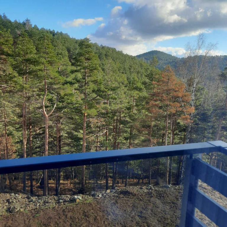 Goga Apartmani - Apartman sa 1 Spavaćom Sobom - 2