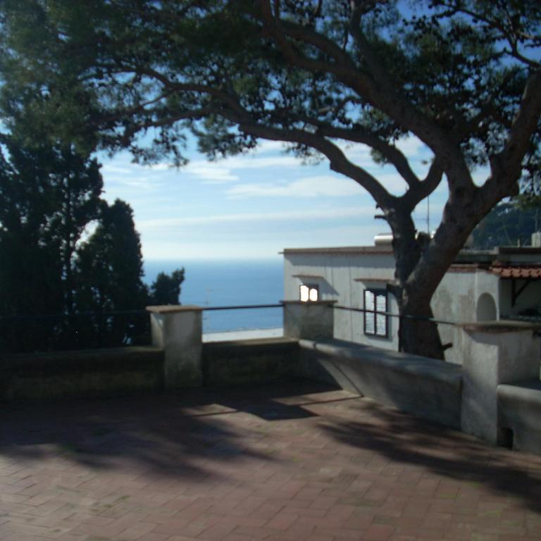 La Terrazza sul blu di Capri - Casa con 1 Camera da Letto - 2