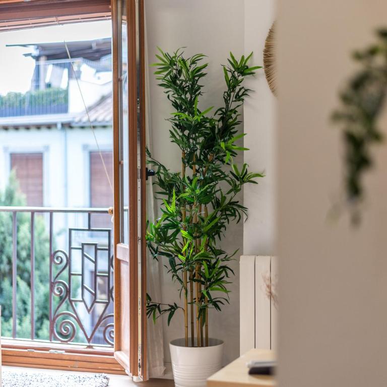 tuGuest Plaza Pescaderia - Catedral - Apartment - 18
