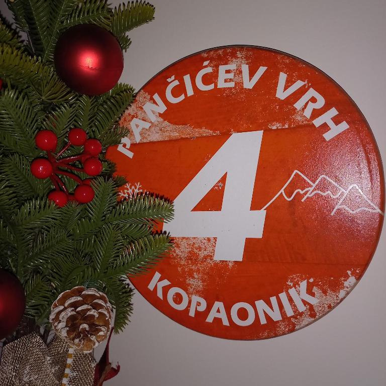 Garnet Star Apartments, Kopaonik, apartman br 2 - Apartman sa 1 Spavaćom Sobom - 29