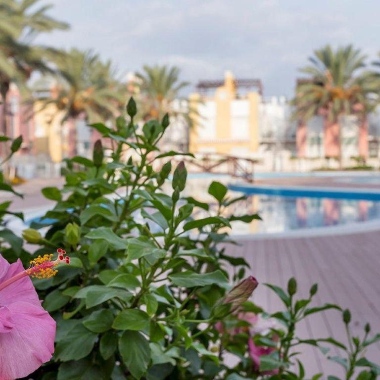 Casa Antonia con jacuzzi privado y solarium - Apartamento de 1 dormitorio - 6