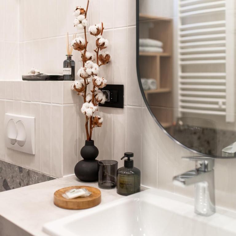 Deluxe Dunavska Apartment 4 - Apartman sa 1 Spavaćom Sobom - 18