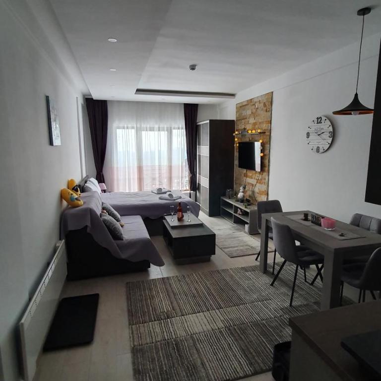N LUX - One-Bedroom Apartment - 13