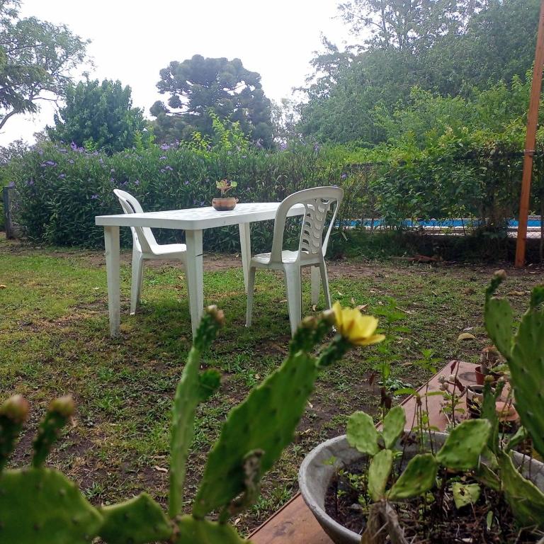 Cabaña monoambiente con pileta y jardín arbolado - Casa con 1 dormitorio - 4