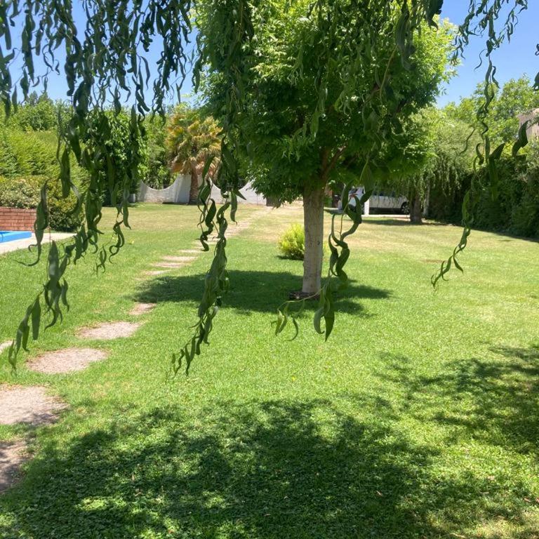 NUESTRA CASA EN CHACRAS DE CORIA (Bª PRIVADO) - Casa - 39