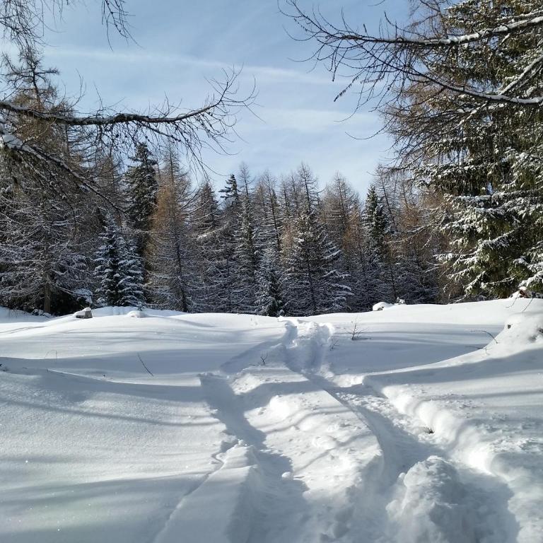 Chalet Mon Ours - Chalet - 20