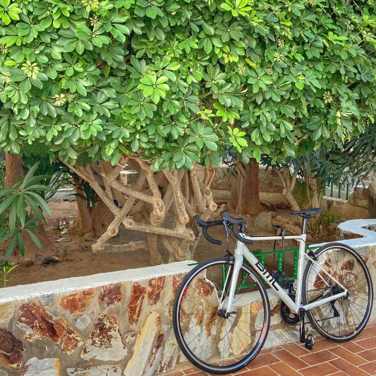 Apartamento vacacional Paradise - Apartamento de 1 dormitorio - 30