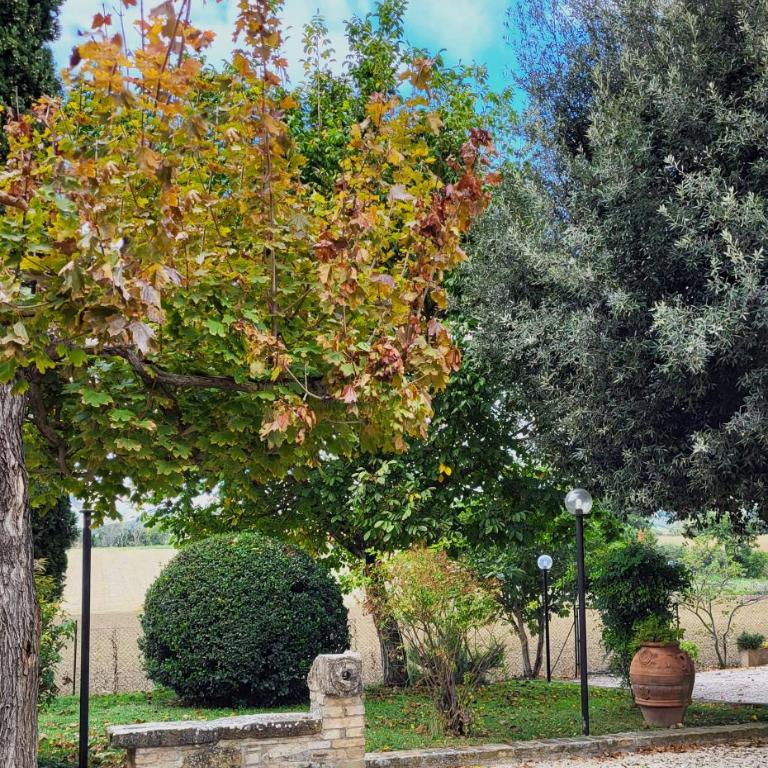 Le Case dell'Olmo - Villa Superior - 21