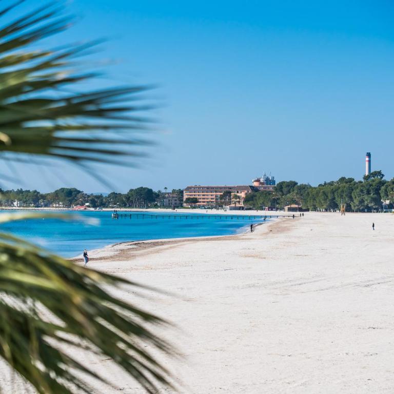 Ideal Property Mallorca - Carabela 44 - Apartamento - 30