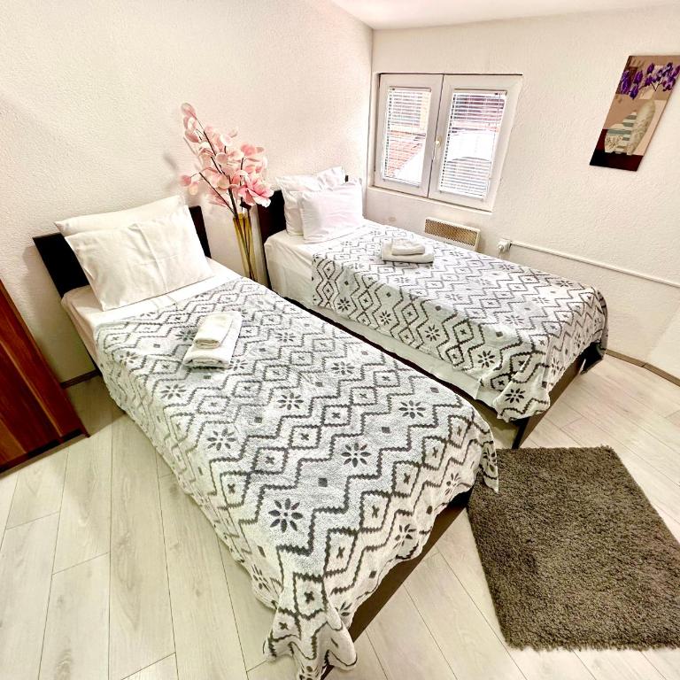Apartmani Aleksandra u centru grada - Standard Double or Twin Room - 2