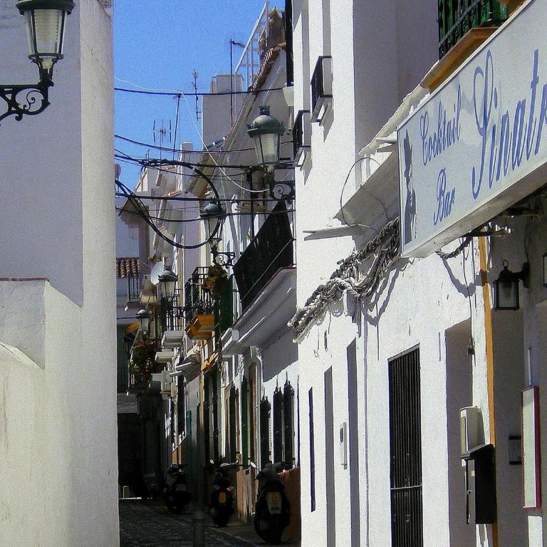 BEACH VILLA ,Nerja, Seaview, Pool, 3 bedrooms, huge terrace and garden - Casa de 3 dormitorios - 52