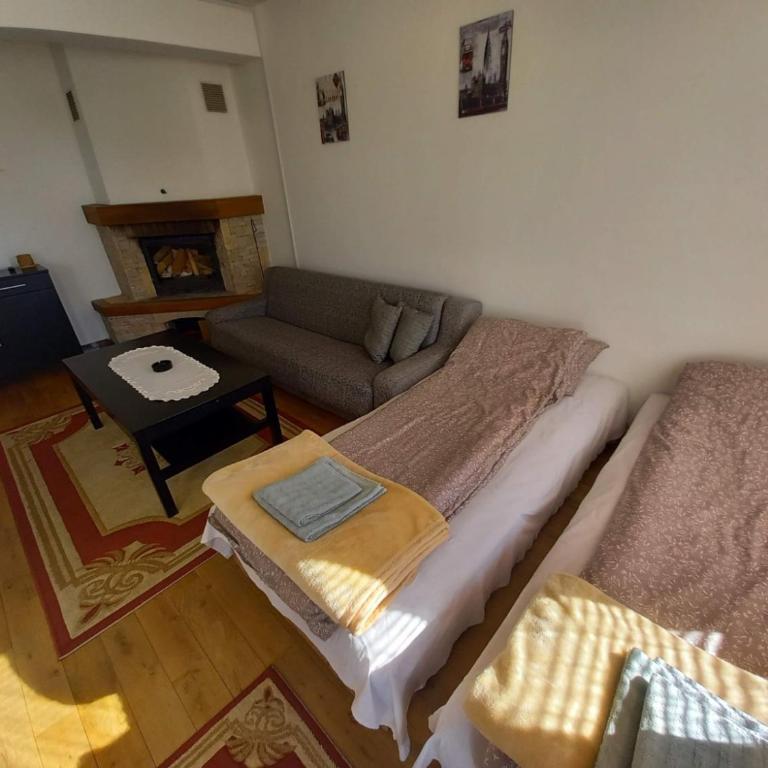 Ljupki studio apartman sa kaminom - One-Bedroom Apartment - 4