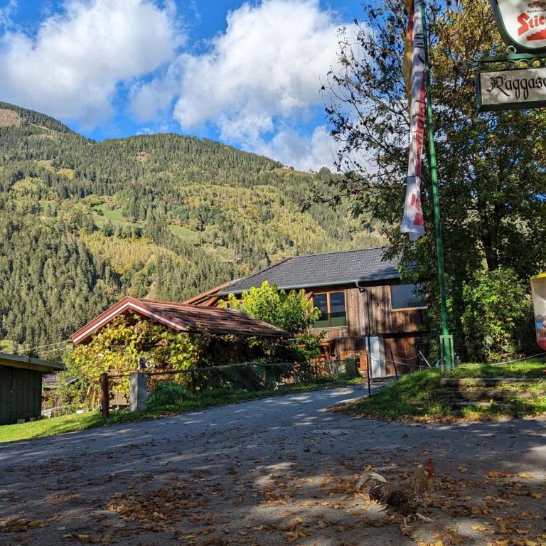 Chalet Schmelz Huette mit Sauna und Garten - Chalet - 90