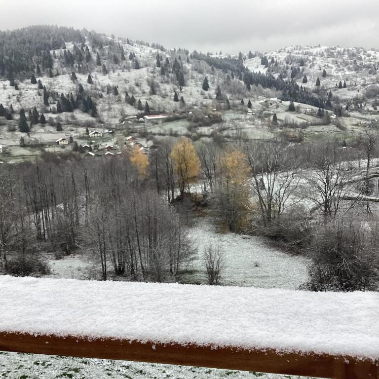 Les Chalets Bambi & Jacuzzi privatif - Appartement - 23