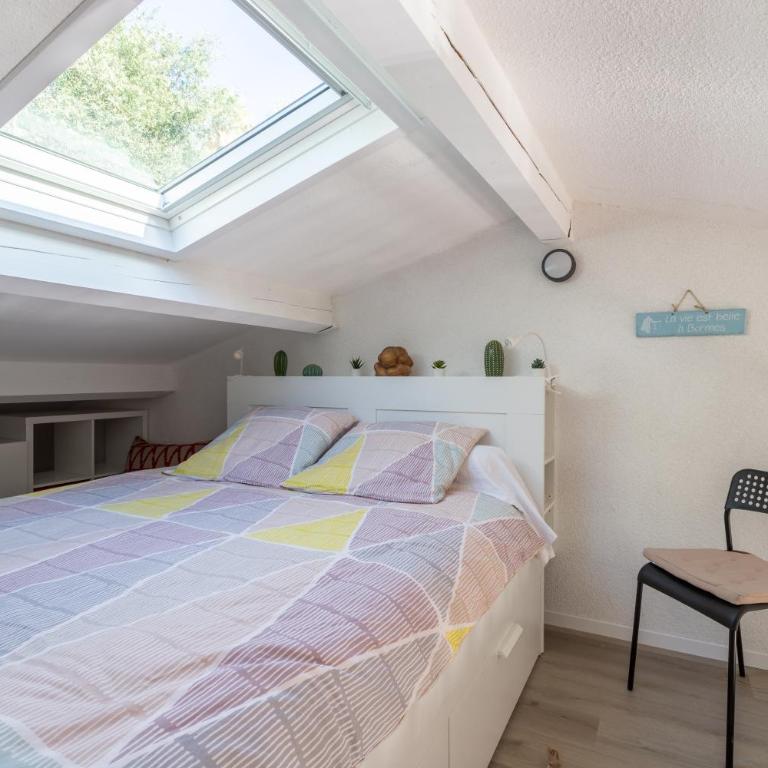 La Lavandière - Appartement 1 Chambre - 5