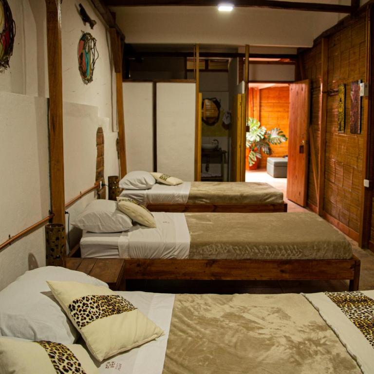 Refugio del Jaguar - Habitación Doble con baño privado - 1 o 2 camas - 4