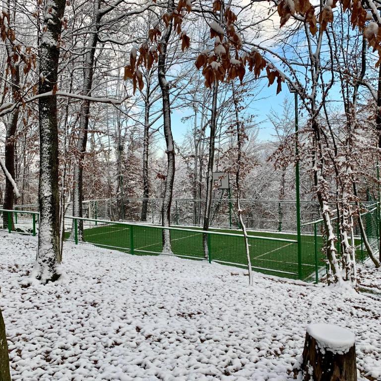 Villa Gagula - Kuća sa 3 Spavaće Sobe - 58