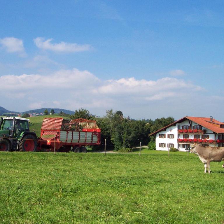 Salenberghof Ferienwohnung Bergsee - Appartamento con Vista Lago - 12