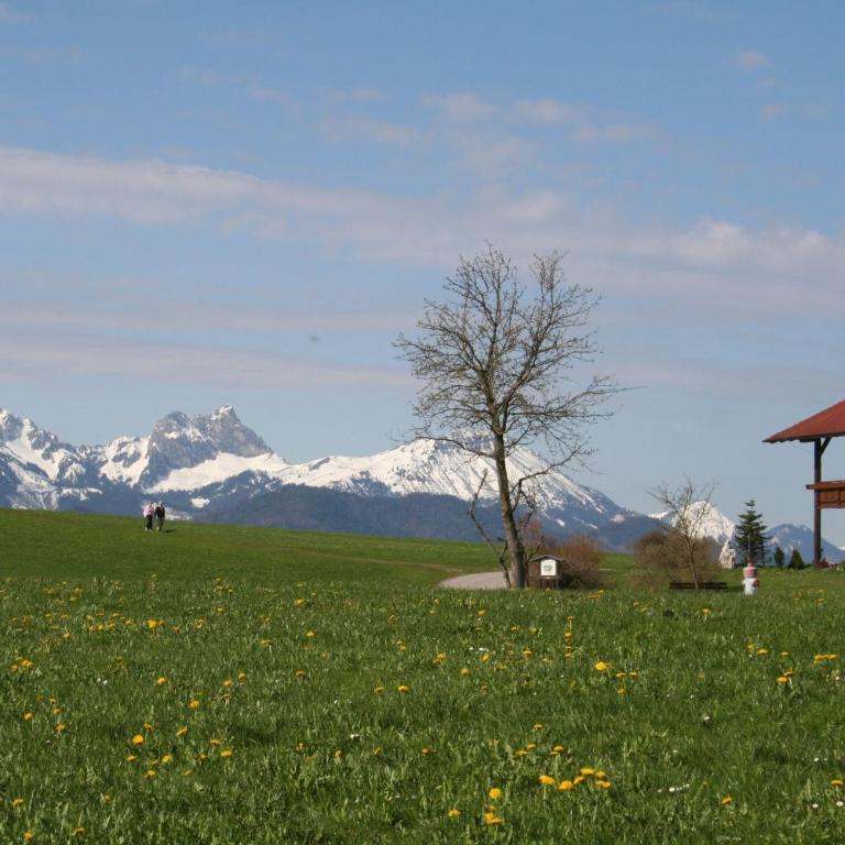 Salenberghof Ferienwohnung Traumblick - Appartamento con Vista Lago - 10