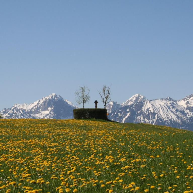 Salenberghof Ferienwohnung Traumblick - Appartamento con Vista Lago - 13