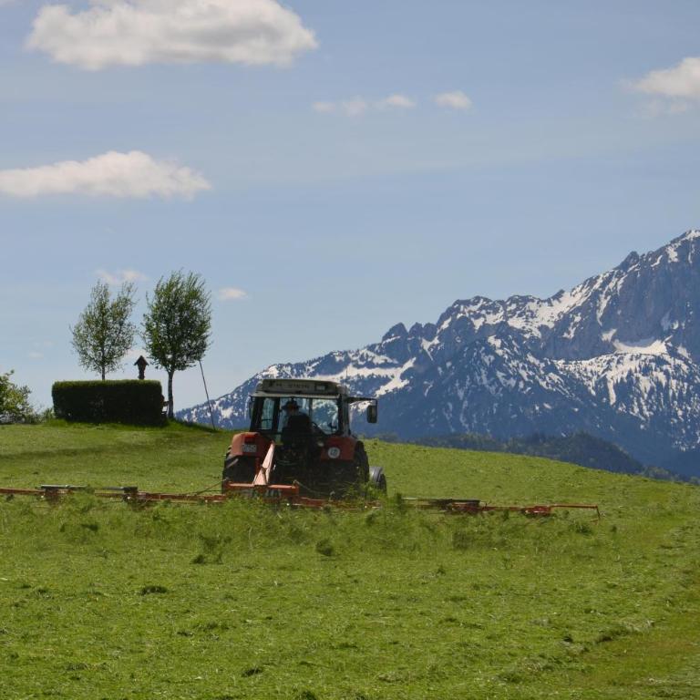 Salenberghof Ferienwohnung Traumblick - Appartamento con Vista Lago - 14