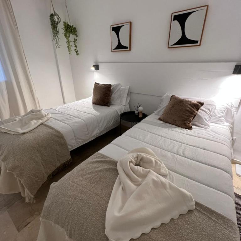 Impeccable large apartment with immense terrace and private garden overlooking the mountain, featuring 2 bedrooms and sleeping up to 4 guests located 100 meters from Plaza Maestranza - Two-Bedroom Apartment - 47