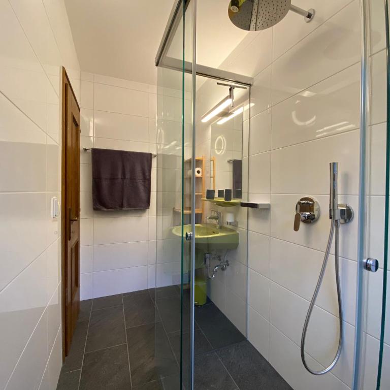 Oberleiten Apartments - Studio-Apartment - 12