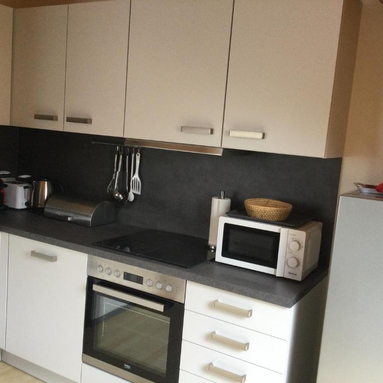 ALTSTADT-APARTMENTS Bad Radkersburg - Ihr Zuhause auf Reisen - Lässige 73 m² Dachgeschoss-Wohnung „Sauvignon Blanc“ - Ausblick, OG 2 - 3