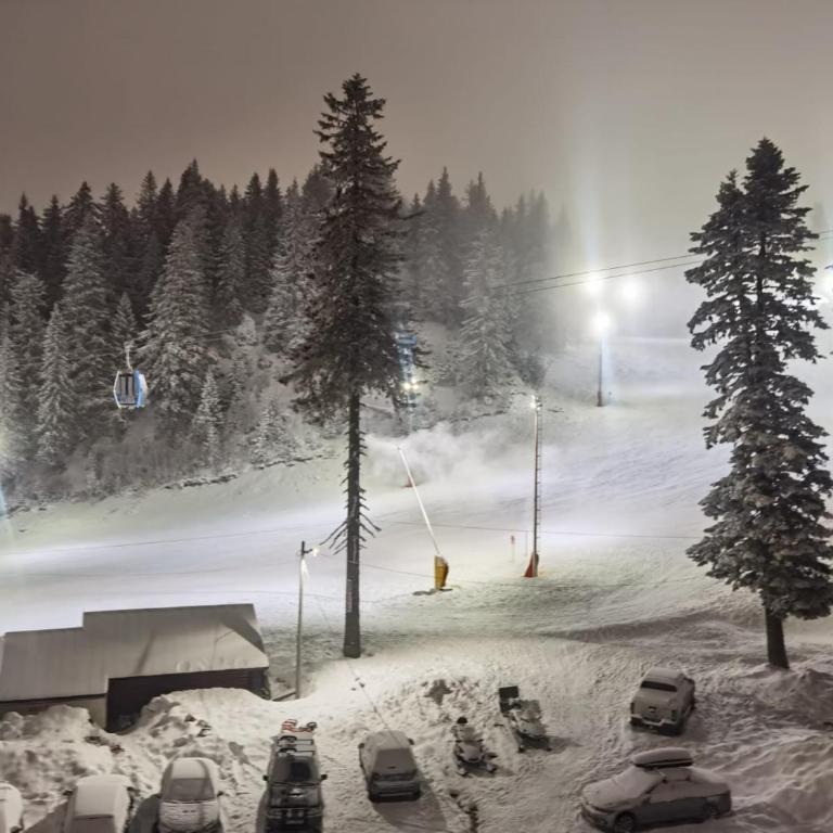 Nivalis Residence *apartman 20* - Apartman sa 3 Spavaće Sobe - 52