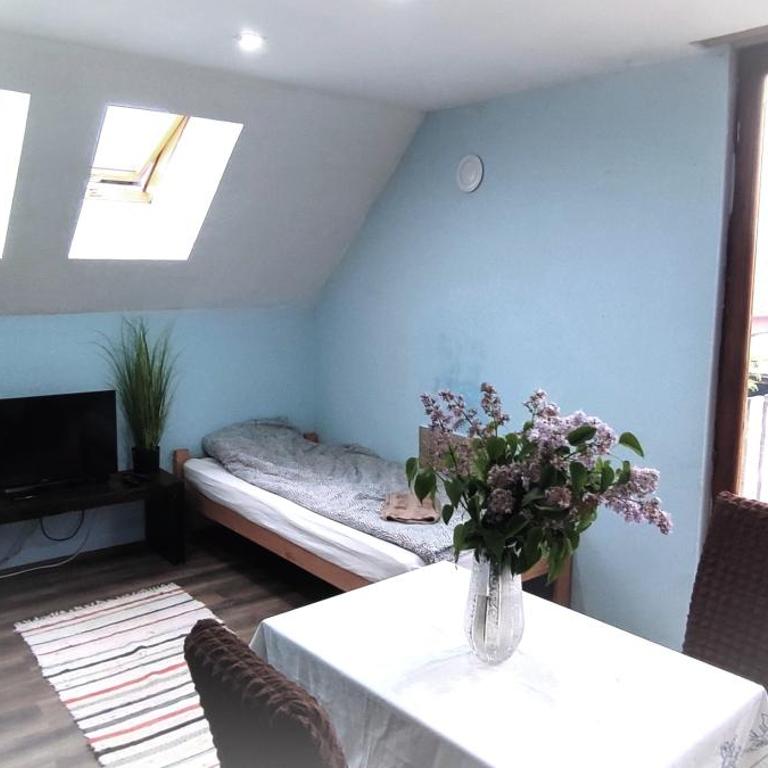 Farmhouse studios - Deluks Dvokrevetni Studio sa Bračnim Krevetom - 7