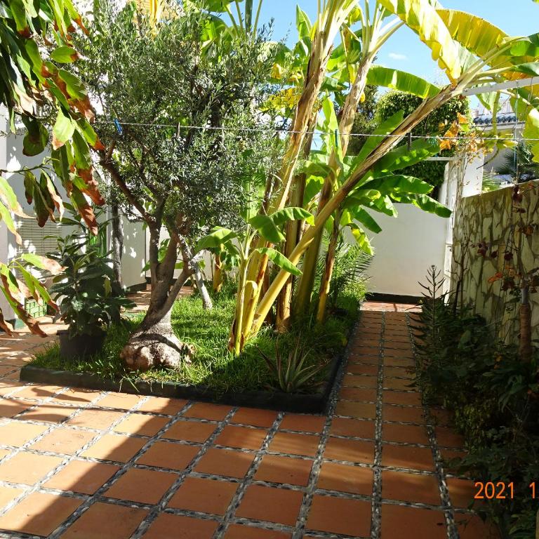 Nerja - Casa Vivi 8 - Villa - 12