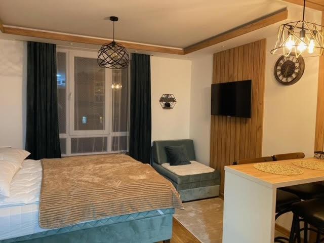 Jankov konak - Apartman sa 1 Spavaćom Sobom - 9