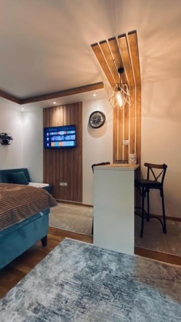 Jankov konak - Apartman sa 1 Spavaćom Sobom - 13