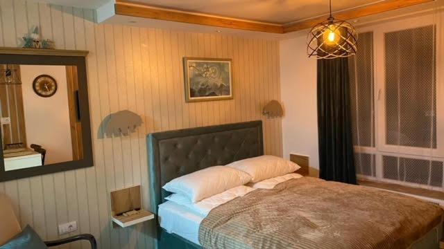 Jankov konak - Apartman sa 1 Spavaćom Sobom - 11