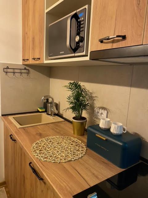 Jankov konak - Apartman sa 1 Spavaćom Sobom - 15