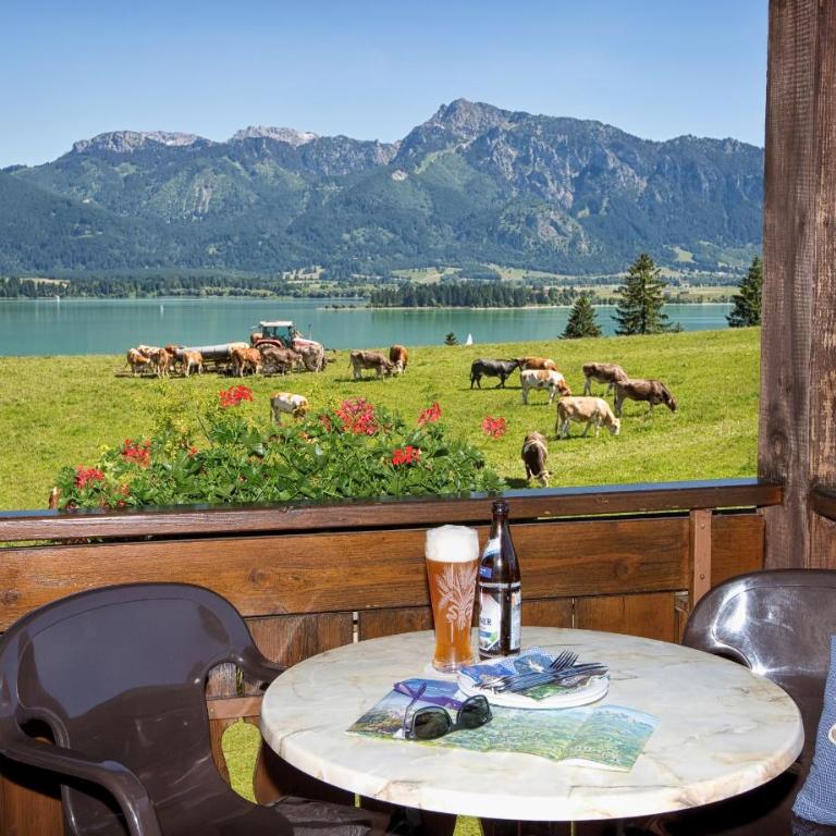 Salenberghof Ferienwohnung Panorama - Appartamento con Vista Lago - 13