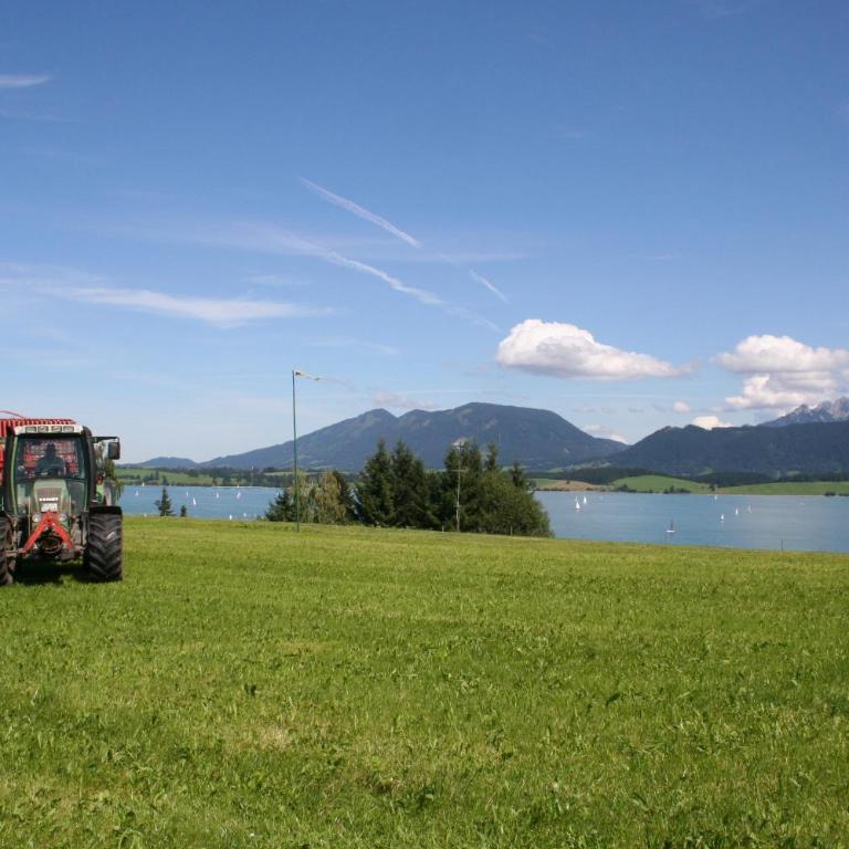 Salenberghof Ferienwohnung Panorama - Appartamento con Vista Lago - 22