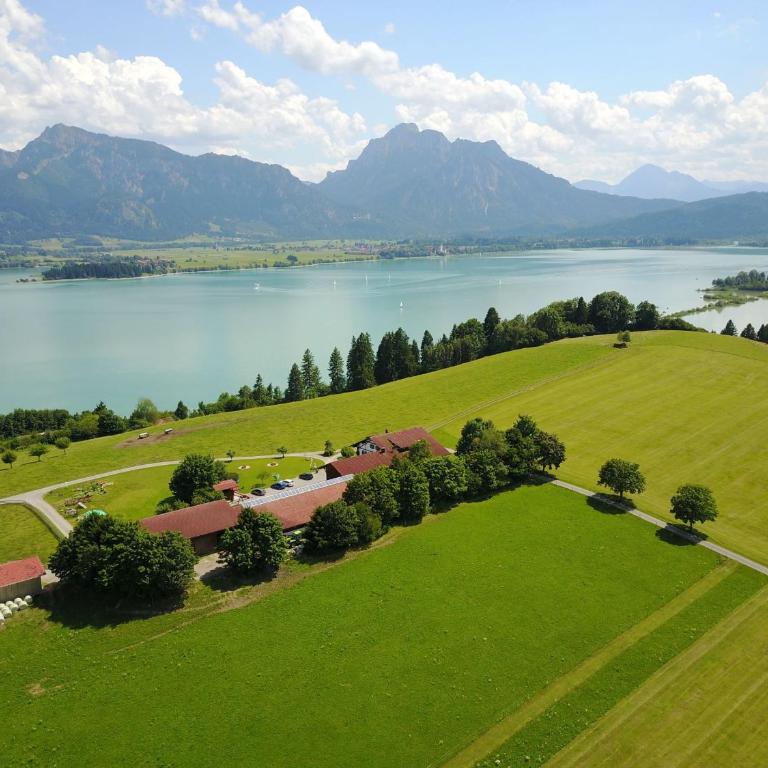 Salenberghof Ferienwohnung Panorama - Appartamento con Vista Lago - 27