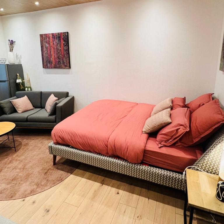Jadore - Appartements meublés Mulhouse Ville - Estudio Superior - 4