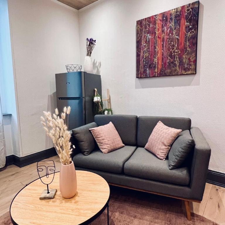 Jadore - Appartements meublés Mulhouse Ville - Estudio Superior - 6