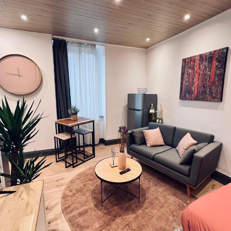 Jadore - Appartements meublés Mulhouse Ville - Estudio Superior - 2