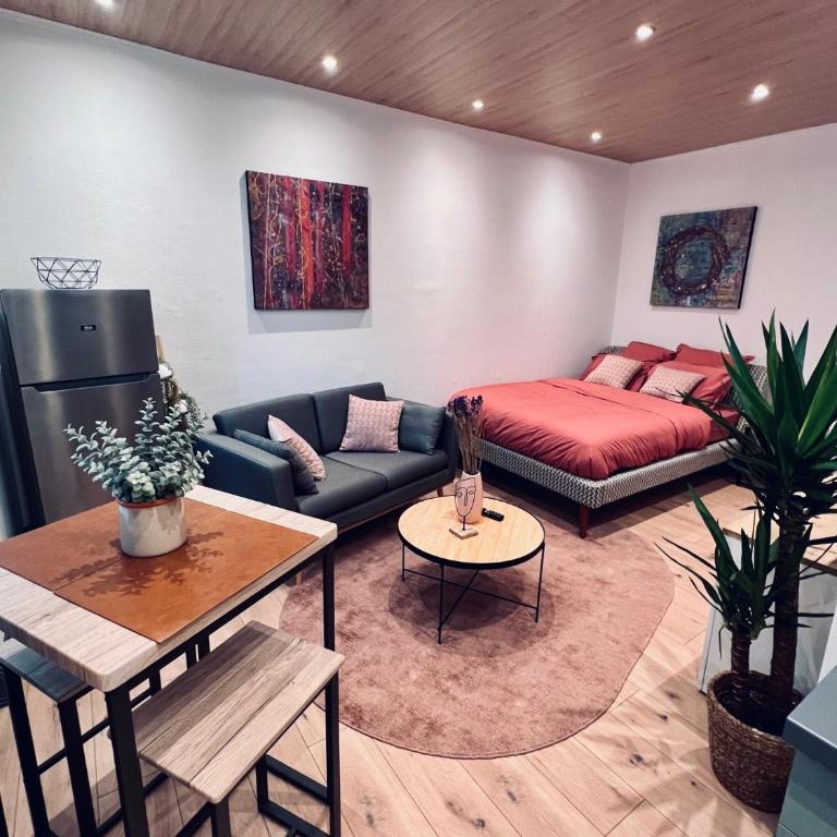 Jadore - Appartements meublés Mulhouse Ville - Estudio Superior - 7