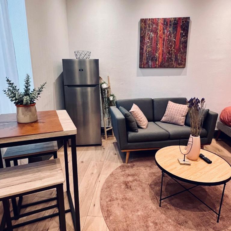 Jadore - Appartements meublés Mulhouse Ville - Estudio Superior - 12
