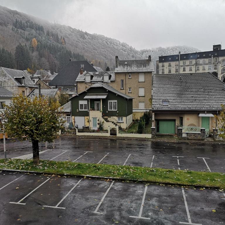 Appartement situé au cœur du village du Mont-Dore 1er étage - Apartment mit 1 Schlafzimmer - 14