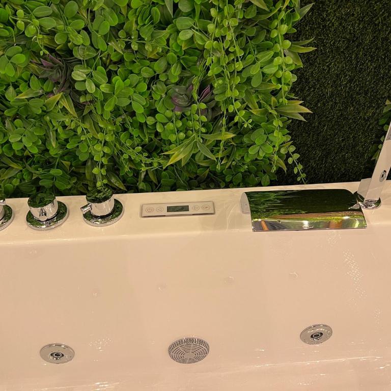SPA de charme 6 pers avec Jacuzzi & Sauna privatifs au coeur de ville - Esprit Coco - Superior Apartment mit Sauna - 35